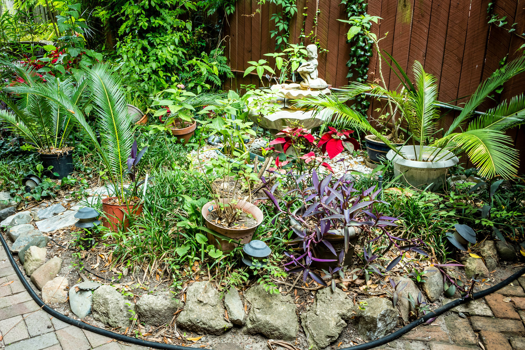 Bed and Breakfast Amethyst Garden Savannah Exterior foto